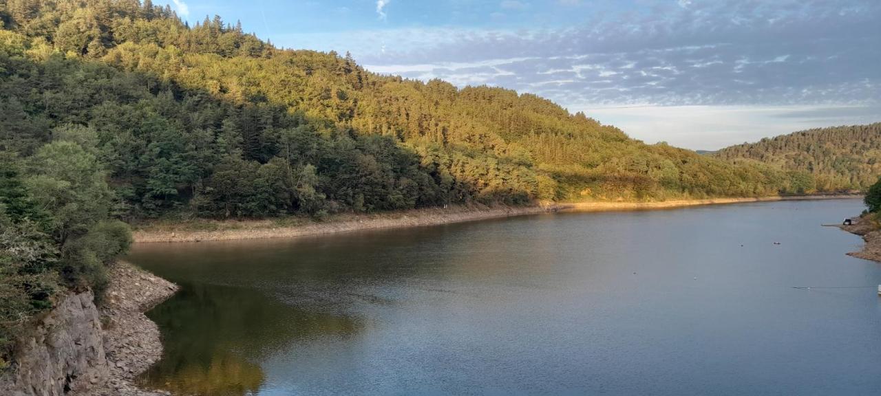 Relais Du Lac De La Truyere 昂拉尔德斯·德圣菲 外观 照片